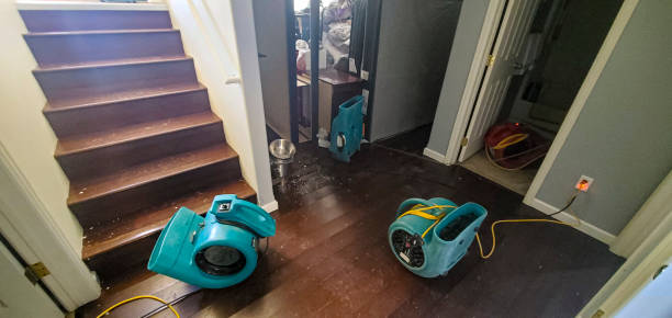 Best Water damage restoration insurance claims  in Green Island, NY