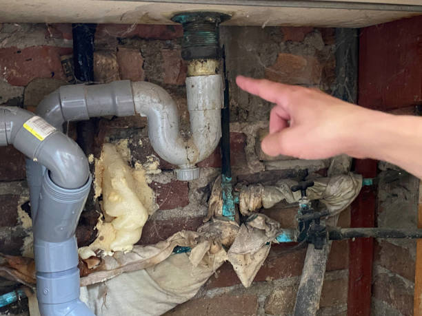 Best Sewage cleanup and water damage restoration  in Green Island, NY